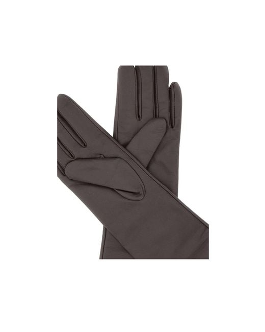 Gianni Chiarini Brown Long Leather Gloves