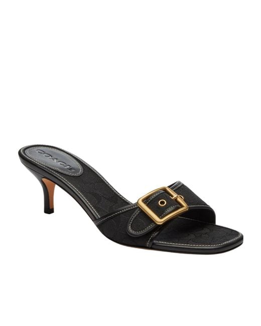 COACH Black Simple Mules
