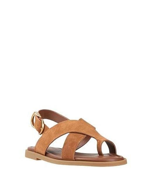 Rag & Bone Brown Toe Strap Flat Sandals