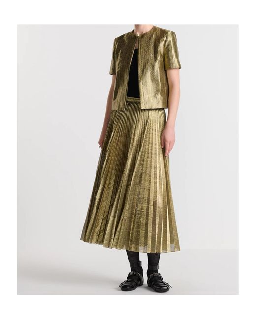Dior Multicolor Or Mid-Length Pleated Skirt