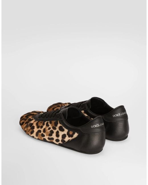 Dolce & Gabbana Brown Leopard Printed Sneakers