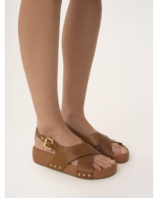 Chloé Brown Chloé Mae Buckle Detailed Sandals