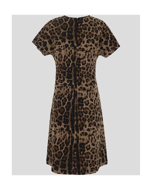 Dolce & Gabbana Multicolor Leopard Printed Mini Dress
