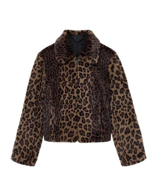 AllSaints Brown Saye Leopard-Print Collared Jacket