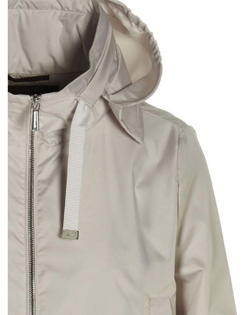 Moorer Gray Hooded Zip-Up Jacket
