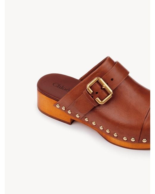 Chloé Jeannette Brown Leather Clogs