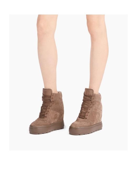 Casadei Brown High Top Sneakers