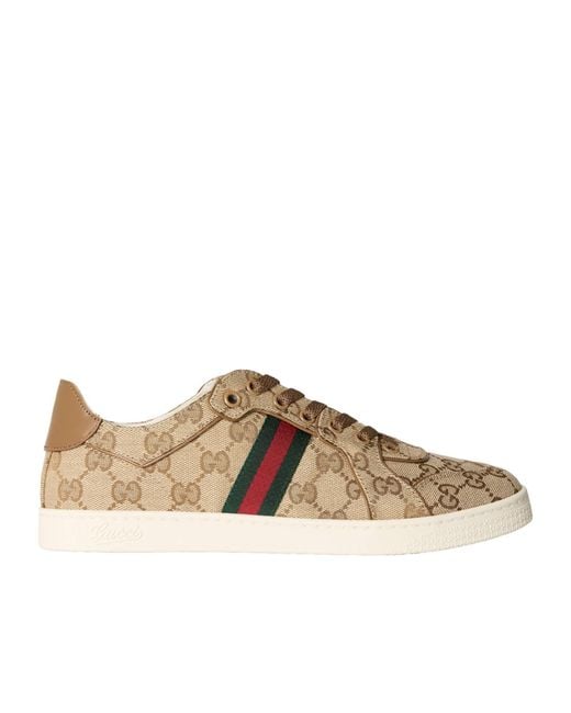 Gucci Brown Alex Low Pro Runner Ld63