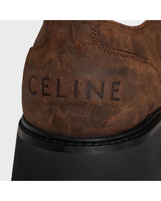 Céline Brown Triomphe Derbies
