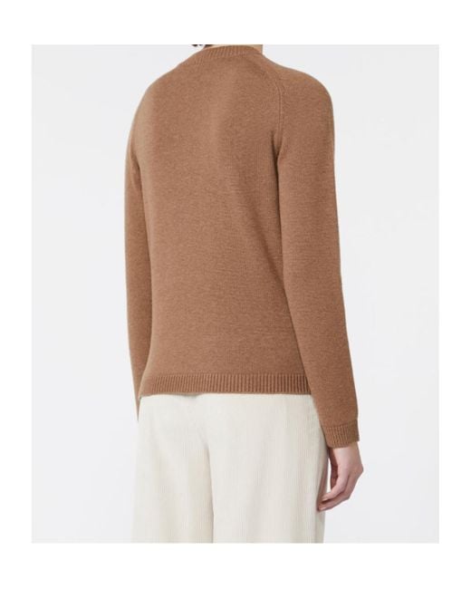 Max Mara Brown Wool And Cashmere Crewneck Sweater