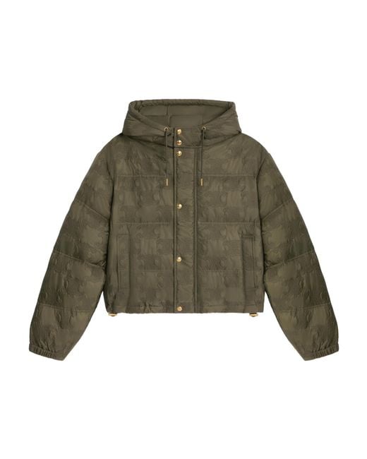 Celine Cropped Triomphe Down Jacket in Green | Lyst