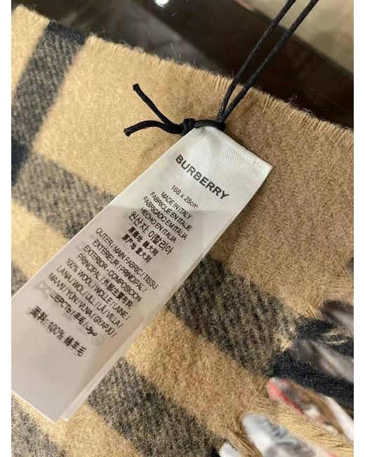 Burberry Multicolor Fringed Scarf