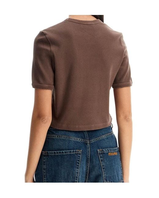 Miu Miu Brown Crewneck Cropped Ribbed T-Shirt