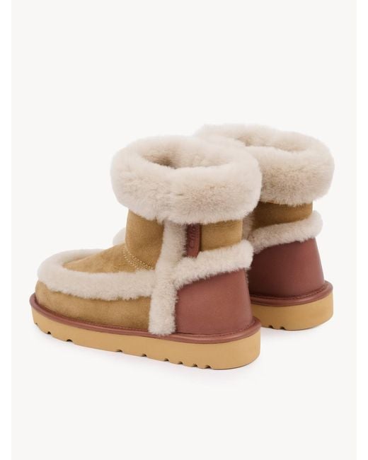 Chloé Natural Chloé Dolcie Ankle Boots