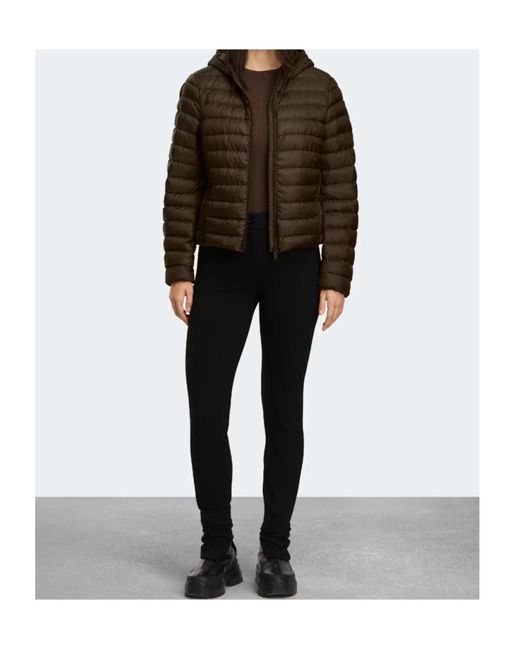 Canada Goose Brown Aethera Hooded Down Jacket