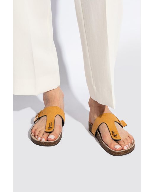 Tory Burch Brown Toe Slippers