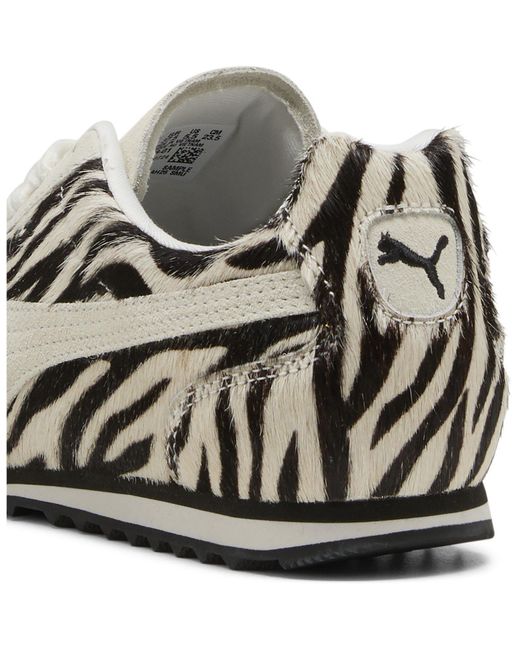 PUMA Multicolor Lace-Up Casual Sneakers
