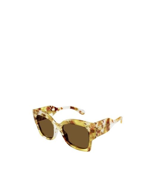 Chloé Multicolor Oversize-Frame Sunglasses