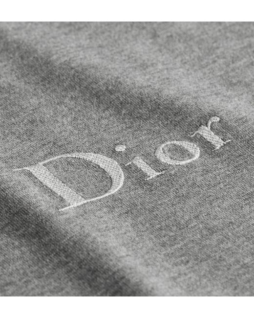 Dior Gray T-Shirt With Embroidery, Relaxed Fit for men