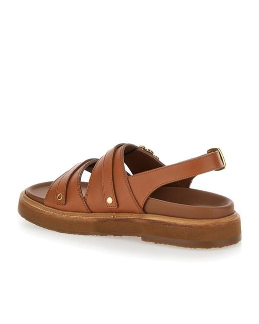 Céline Brown Tippi Triomphe Sandal