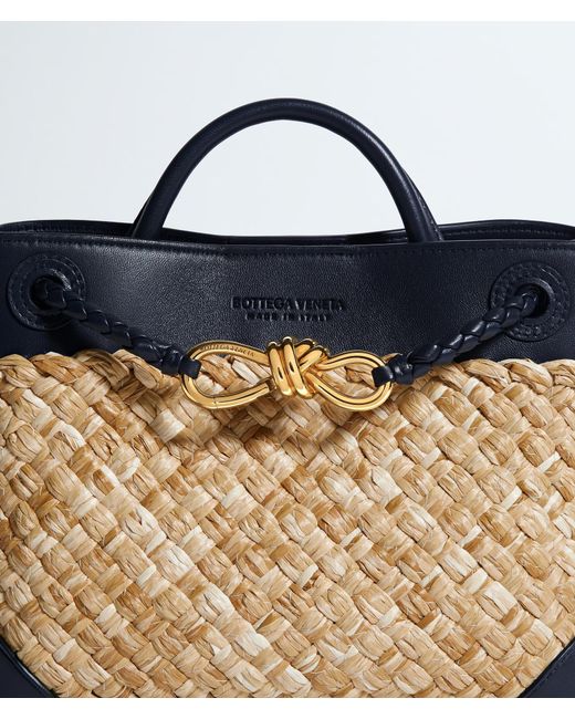 Bottega Veneta Metallic Small Andiamo