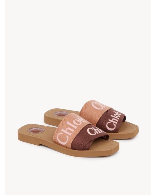 Chloé Brown Open-Toe Flat Sandals