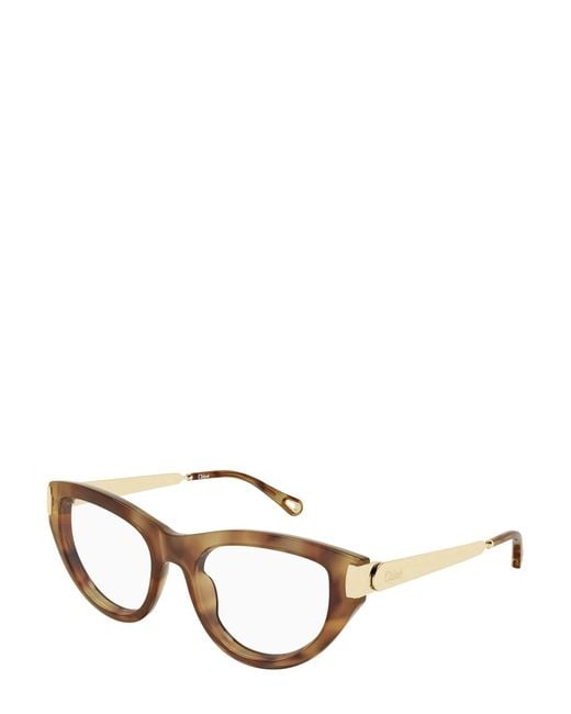 Chloé Multicolor Chloé Eyewear Cat-Eye Frame Glasses