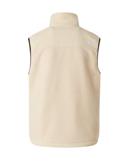 The North Face Natural Retro Denali Vest for men