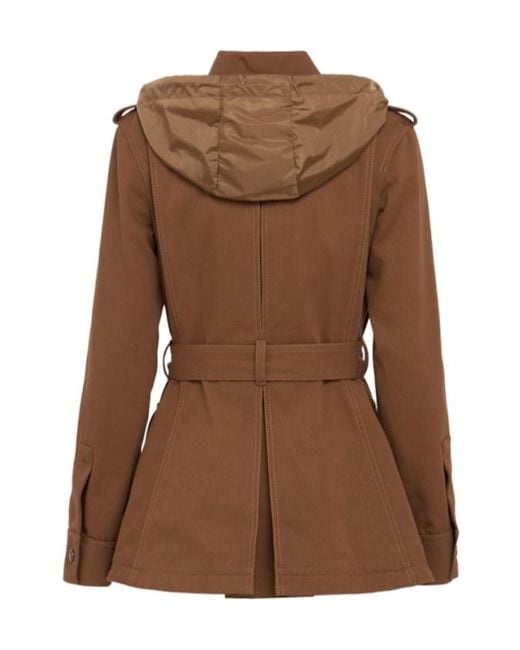 Moncler Brown Centaurea Cotton Field Jacket