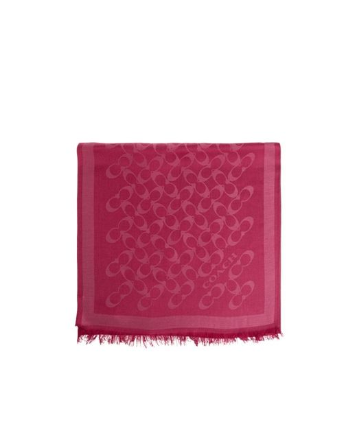 COACH Pink Tassel Scarf