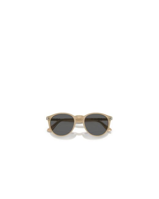 Persol Multicolor Round Frame Sunglasses for men
