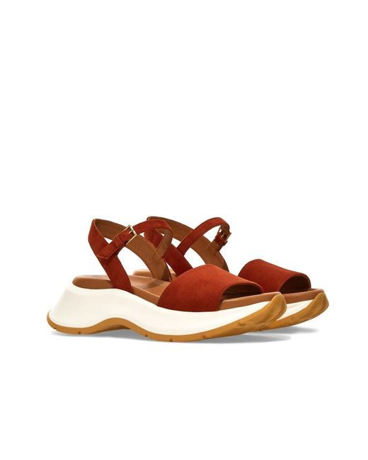 Hogan Brown Buckle Strap Sandals