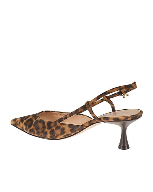 Gianvito Rossi Brown Ascent Pointed Toe Slingback Pumps