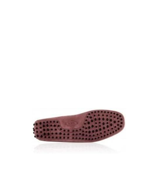 Tod's Purple Logo Details Business Casual Shoes for men