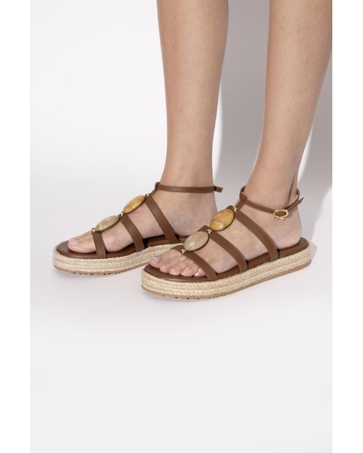 Gianvito Rossi Brown Round-Toe Buckle-Fastened Sandals