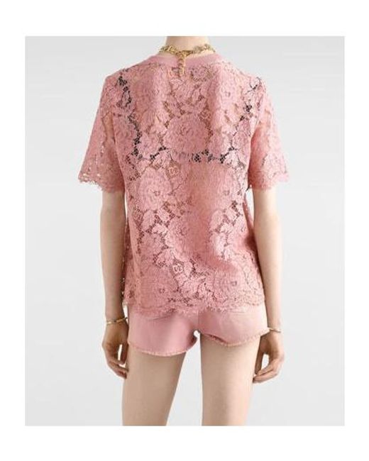 Dolce & Gabbana Pink Dolce & Gabbana Lace Top