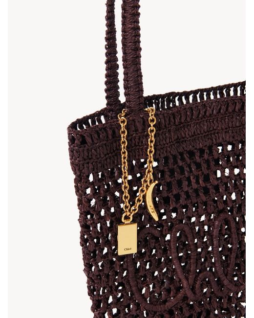 Chloé Red Chloé Small Summer Banana Raffia Tote Bag