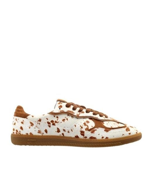 Alohas Brown Low-Top Lace-Up Casual Sneakers for men