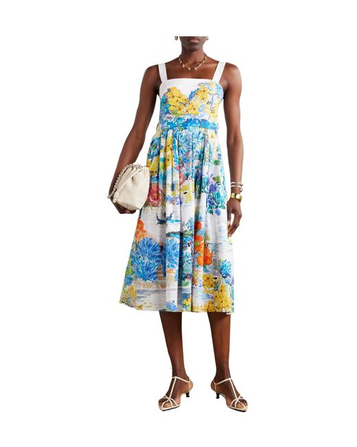 Mary Katrantzou Blue Iris Pleated Floral-Print Cotton-Poplin Midi Dress