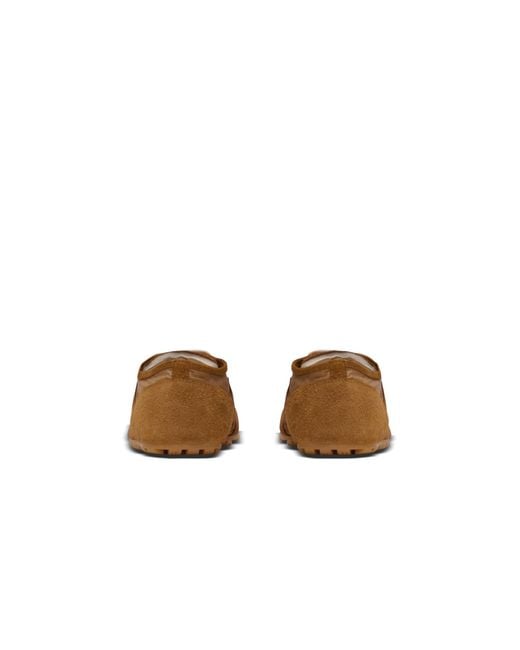 Balmain Brown Racer 45 Low-Top Sneakers