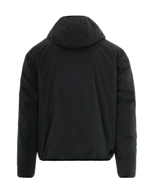 Colmar Black Hooded Padded Jacket for men