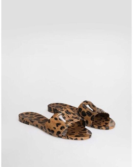 Dolce & Gabbana Brown Leopard Printed Slides
