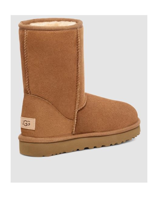 Ugg Brown Logo Snow Boots for men