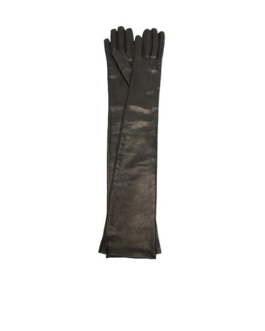 Nour Hammour Black Elbow Gloves