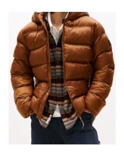 Tommy Hilfiger Brown Tonal Logo Hooded Puffer Jacket for men