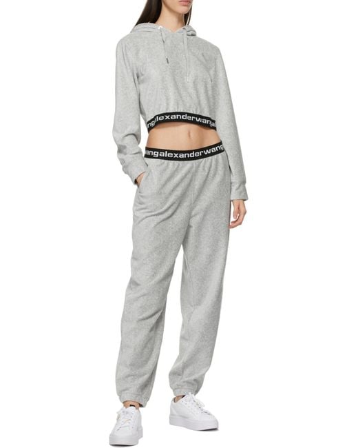 Alexander Wang Gray Elasticated Hem Cropped Hoodie