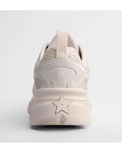Dior Gray Vibe Sneaker