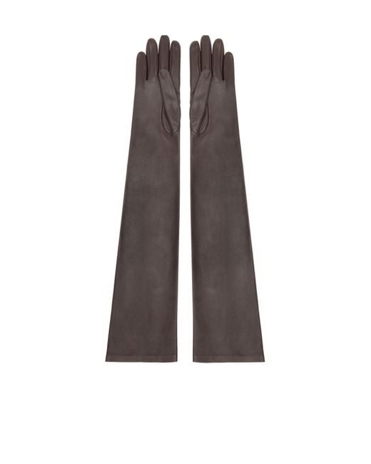 The Row Brown Simon Leather Gloves