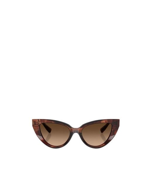 Dolce & Gabbana Multicolor Full Frame Sunglasses
