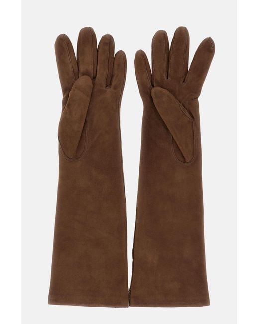 Max Mara Brown Afideesuede Logo Plaque Gloves